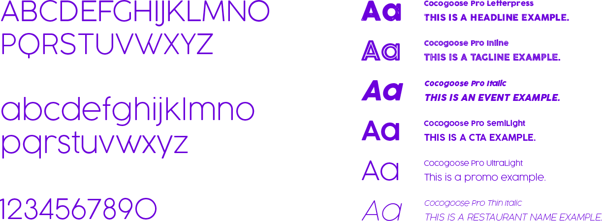 dff-typography